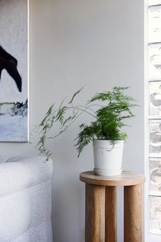 DONICZKA ELISE, ŚREDNIA BIAŁA