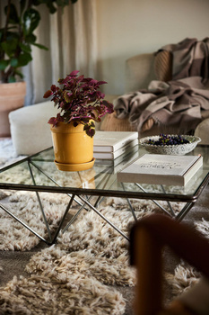 DONICZKA ELISE, ŚREDNIA Ż&Oacute;ŁTA