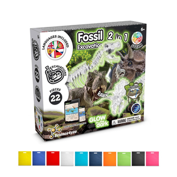 2 in 1 Fossil Excavation Kit IV. Gra edukacyjna dostarczany z torebką prezentową z włókniny (80 g/m²)