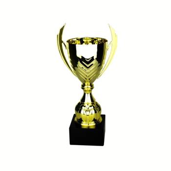 Puchar okolicznościowy | Oscar